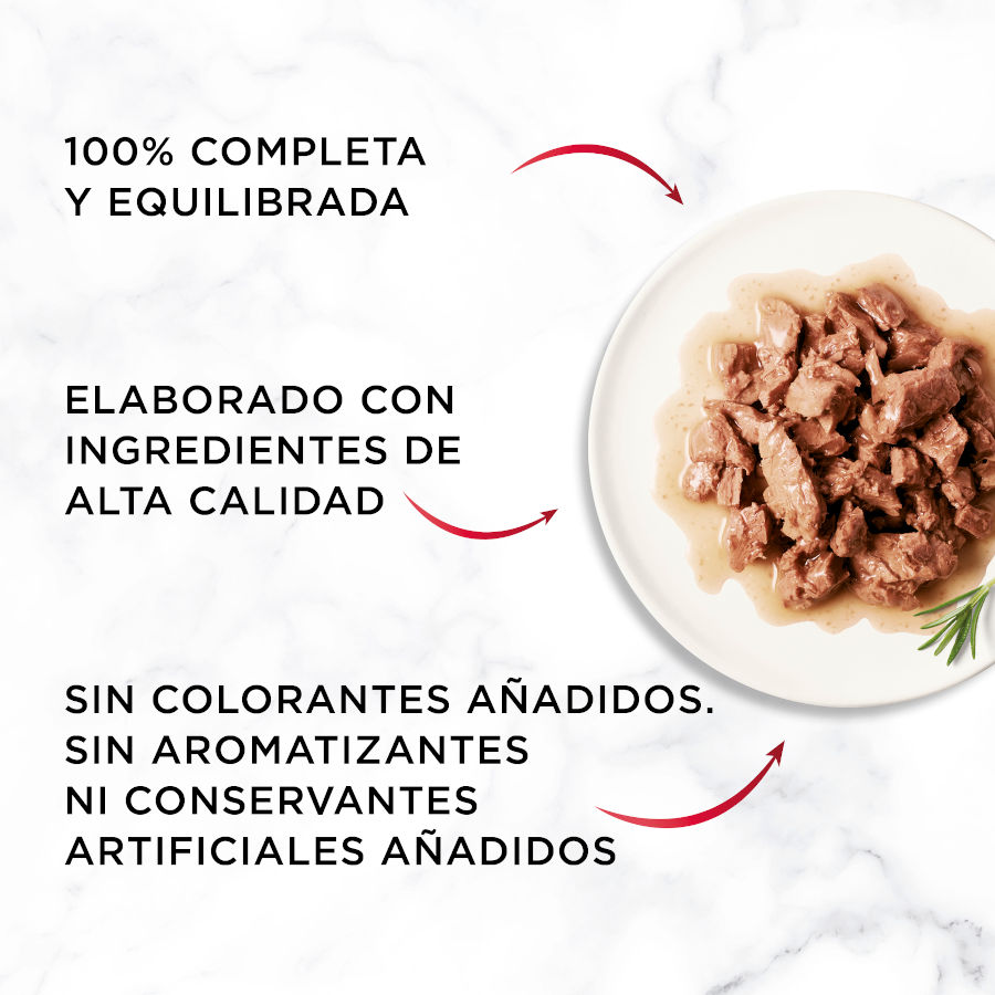Seleção Gourmet Mon Petit de Peixes ao Molho