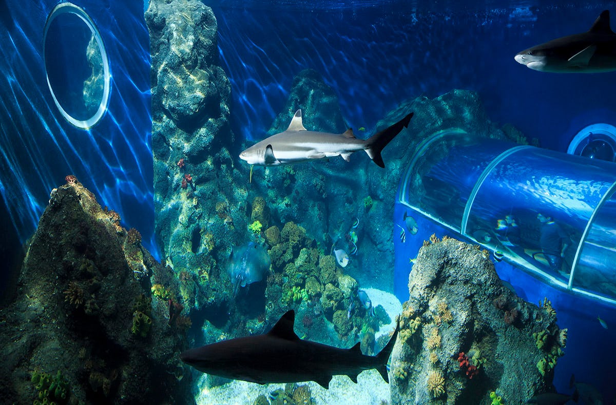 Sea Life Konstanz