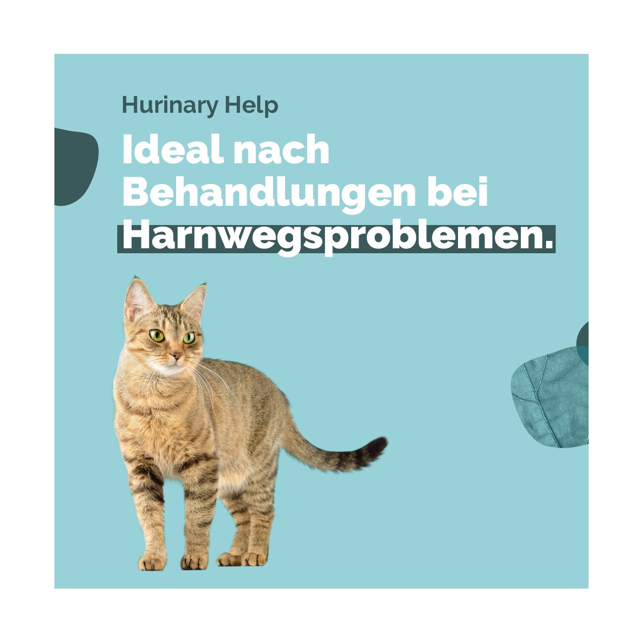 Almo nature Urinary Help 30x70 g Fisch