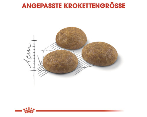 ROYAL CANIN Outdoor droog kattenvoer 10 kg