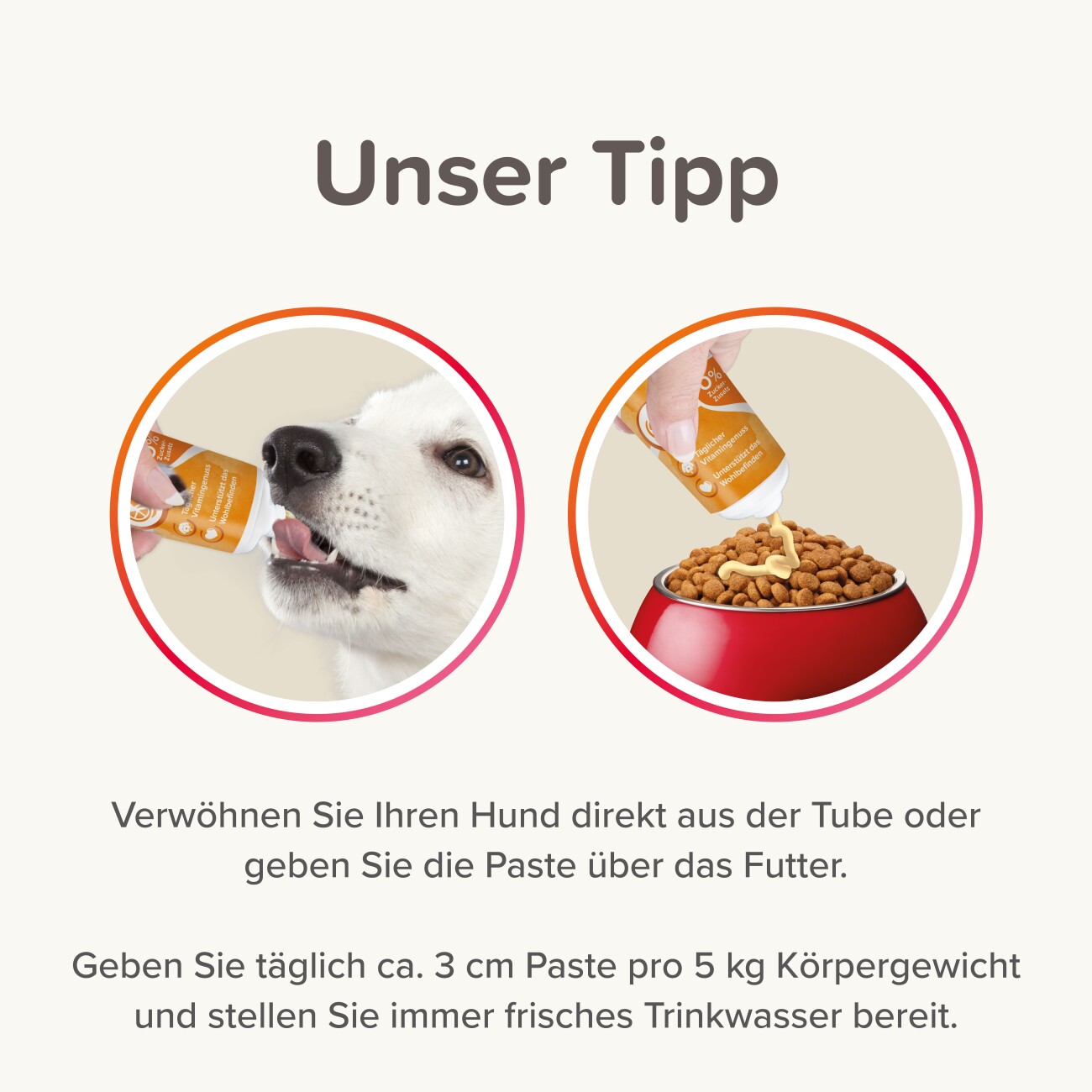 Beaphar Multi Vitamin Paste Hund, 250g