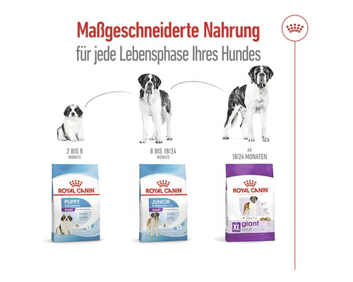 Droog hondenvoer, ROYAL CANIN Giant Adult 15 kg