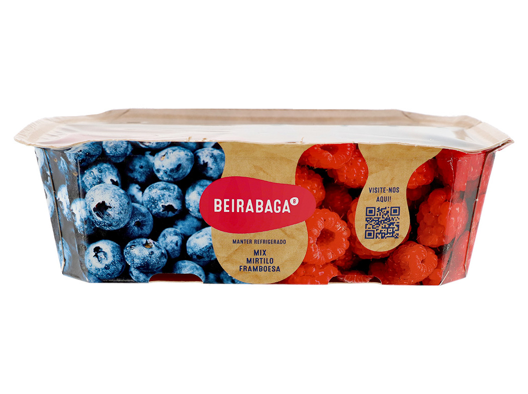 FRAMBOESA E MIRTILO 300 G