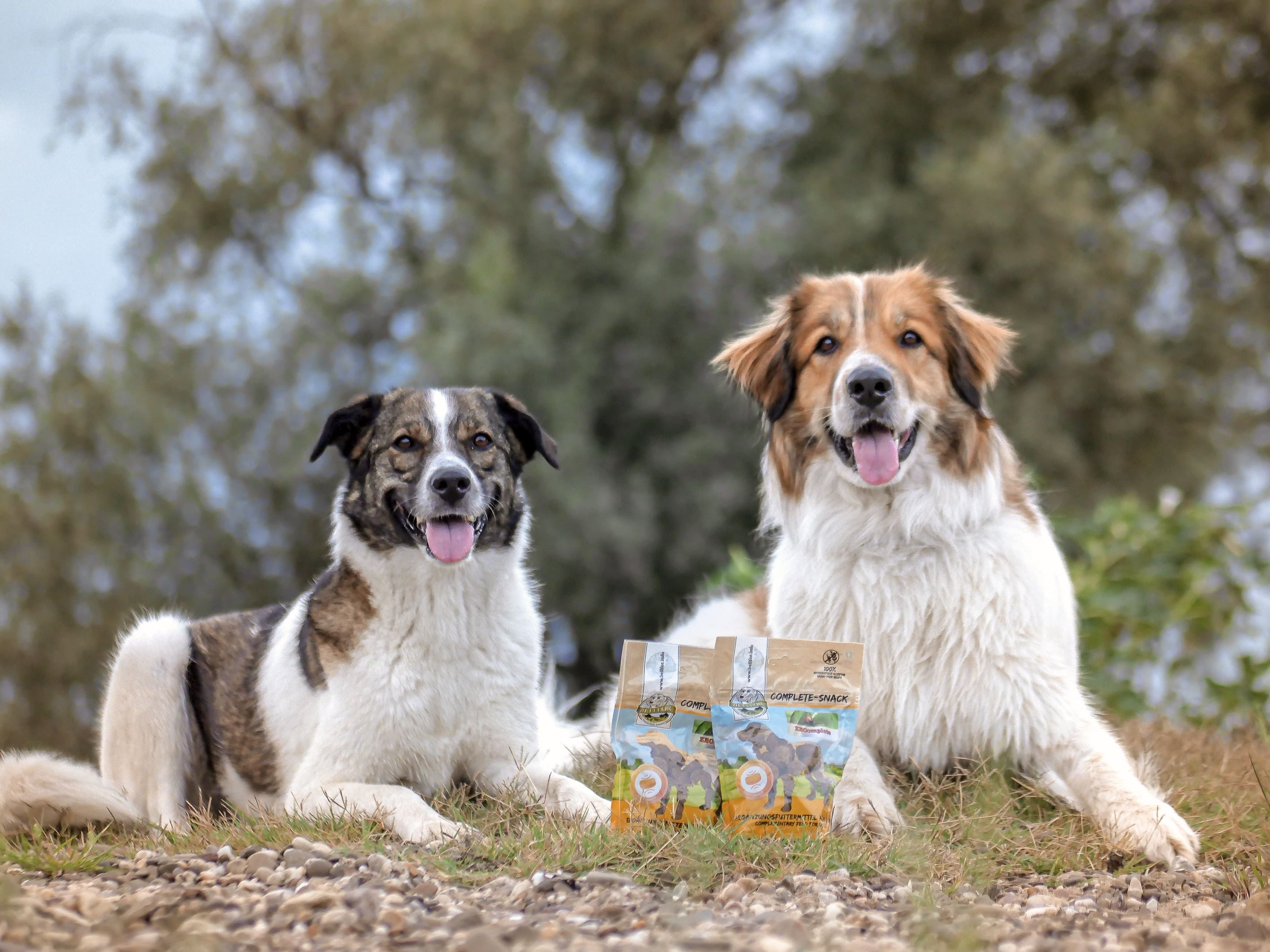 Bellfor Complete-Snack ZEComplete für Hunde Zeckenmittel für Hunde