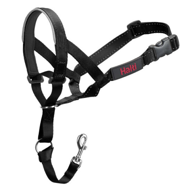 Licol de dressage Halti pour chien