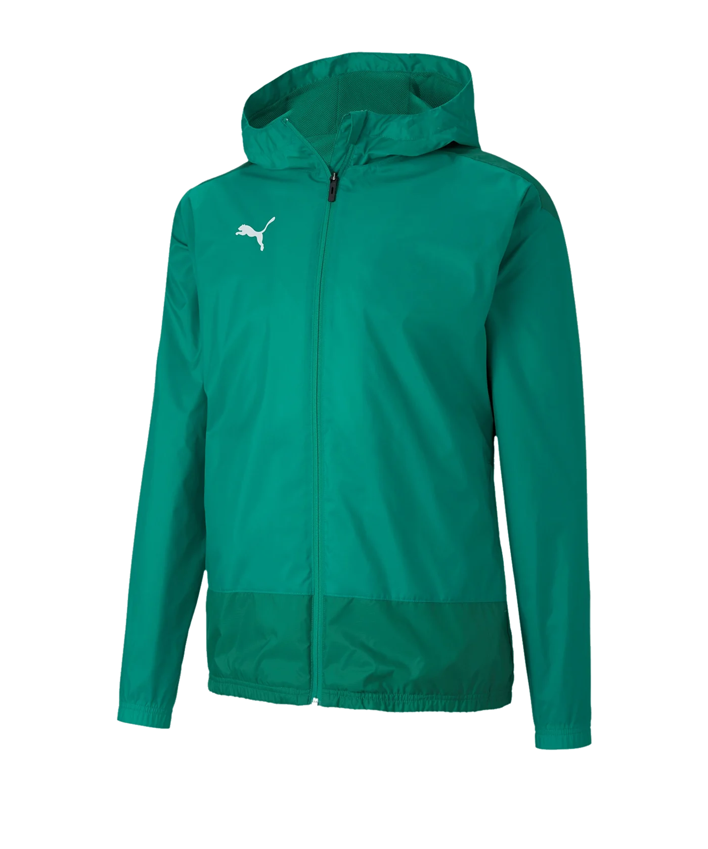 PUMA teamGOAL 23 Training Regenjacke Grün F05