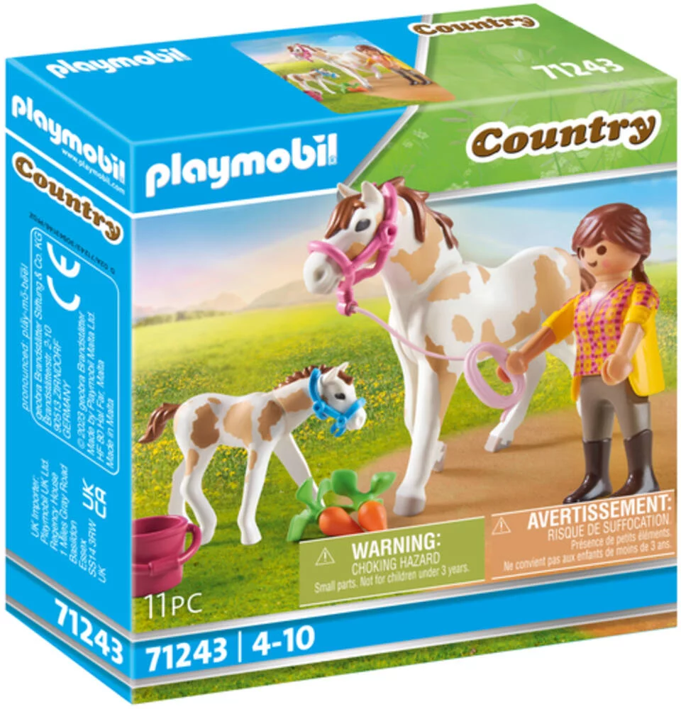 COUNTRY - JUMENT ET POULAIN - 71243