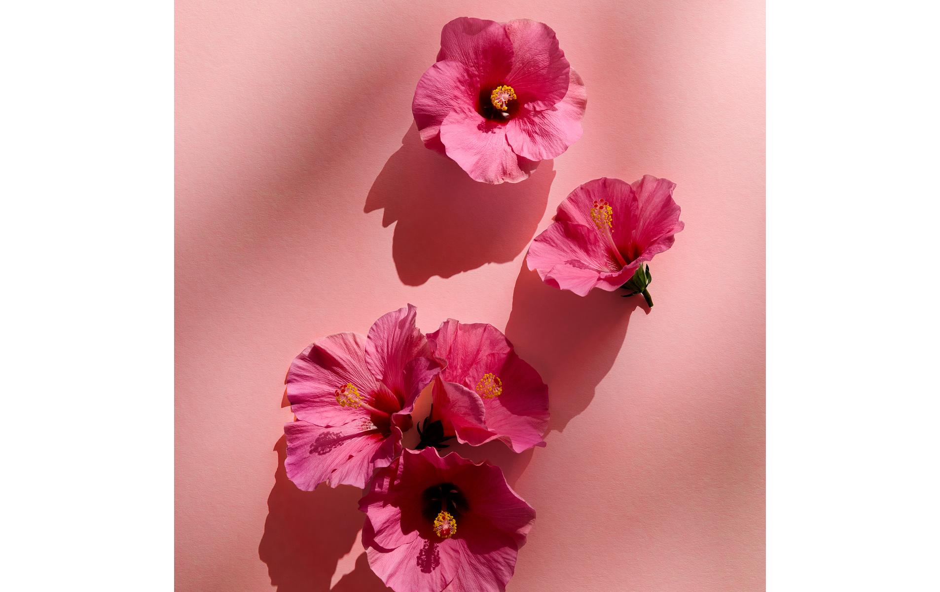 Deo Spray Fresh Flower 150 mlDeodorant mit verblüffend frischem Duft für ein frisches Hautgefühl