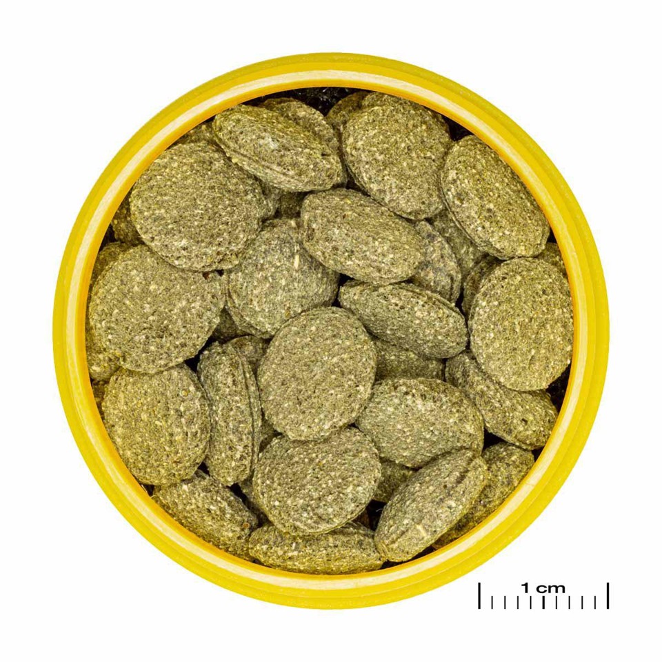JBL Pronovo Pleco Wafer M 1000Ml (152.0444)