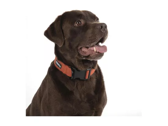 Collier pour chien réglable en viscose de bambou - Bleu - Taille XL (de 50 à 70 cm)