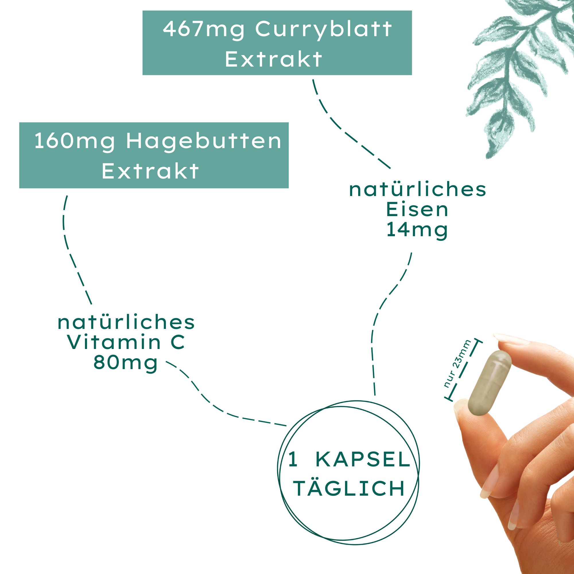 Nature Basics Eisen