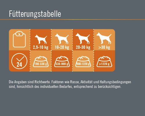 FINEVO Active Dog natvoer voor honden, kip met wortel, 800 g
