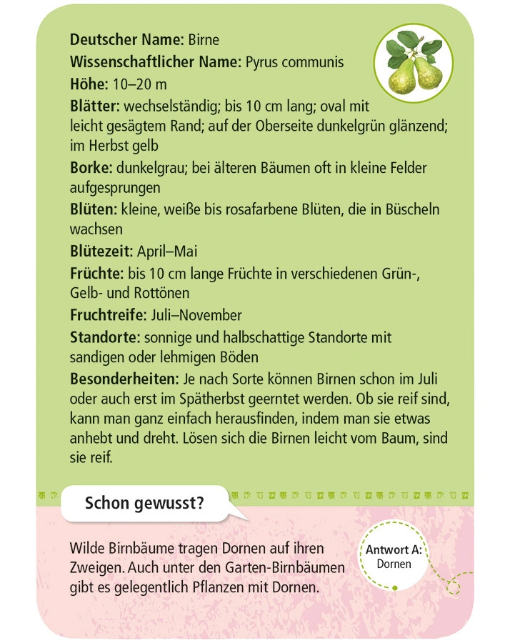 Expedition Natur 50 heimische Garten- & Feldpflanzen