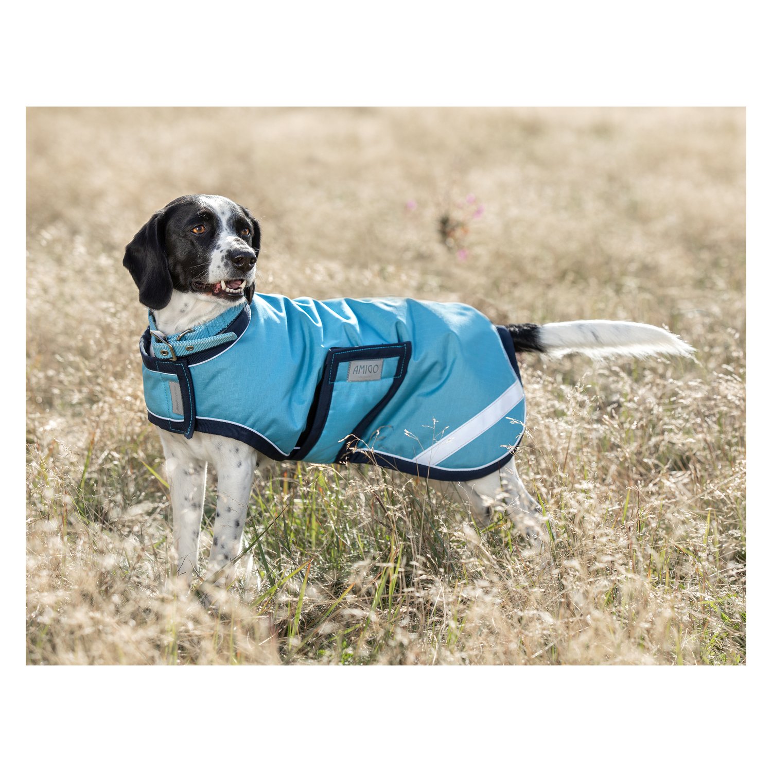 Horseware Hundemantel AMIGO Dog Rug - delphi/navy