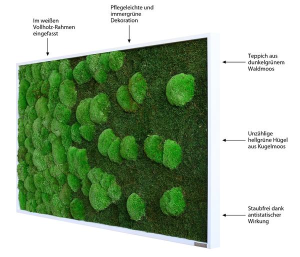styleGREEN Bild aus Wald- und Kugelmoos im