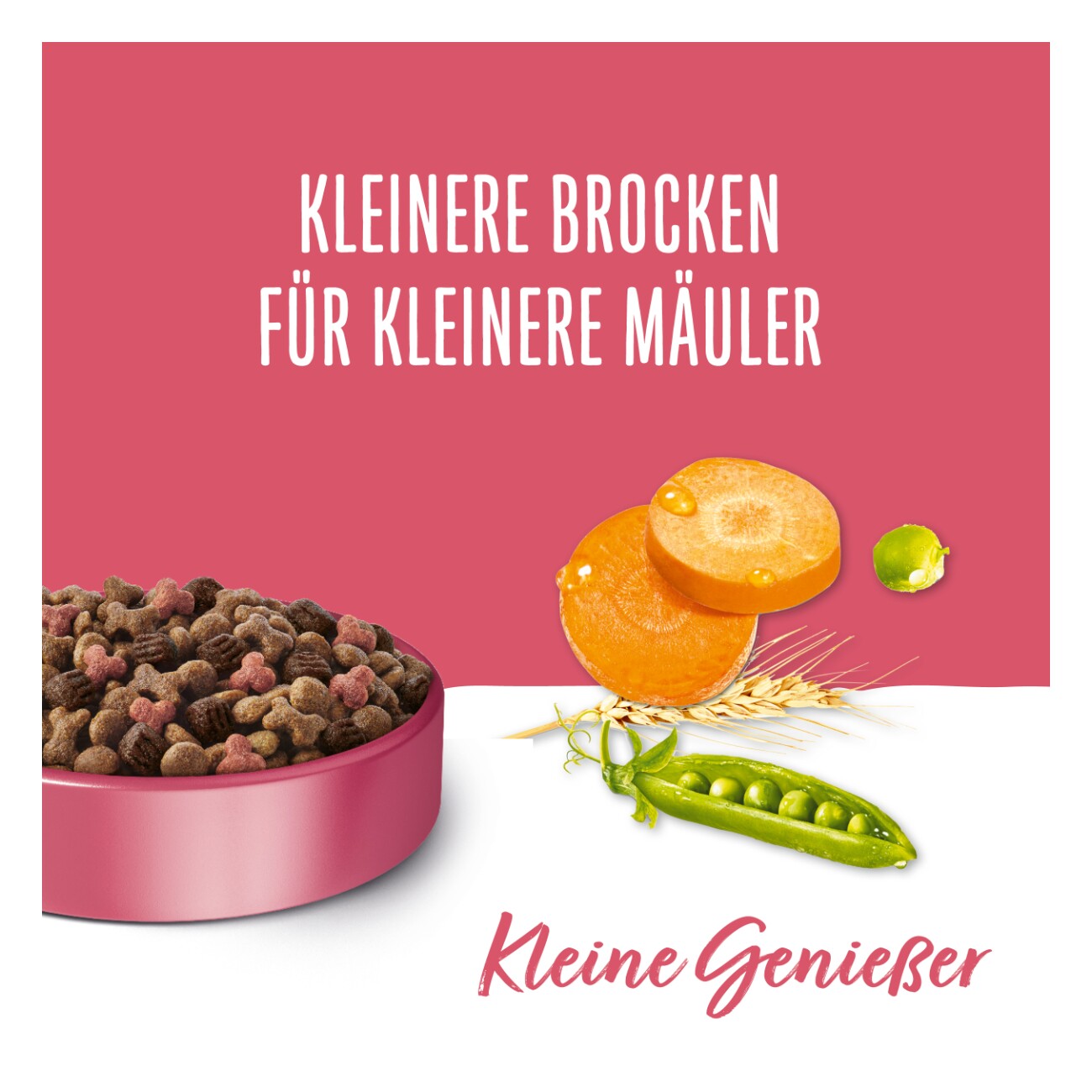 Beneful Purina Trockenfutter Hund, Adult, Kleine Genießer, Rind & Gartengemüse 2,8 kg