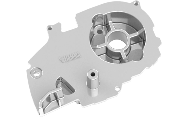 Fiamma Gehäuseverschluss links für Markise F80L 450-600 - Farbe Titanium Fiamma Ersatzteilnummer 98673T257