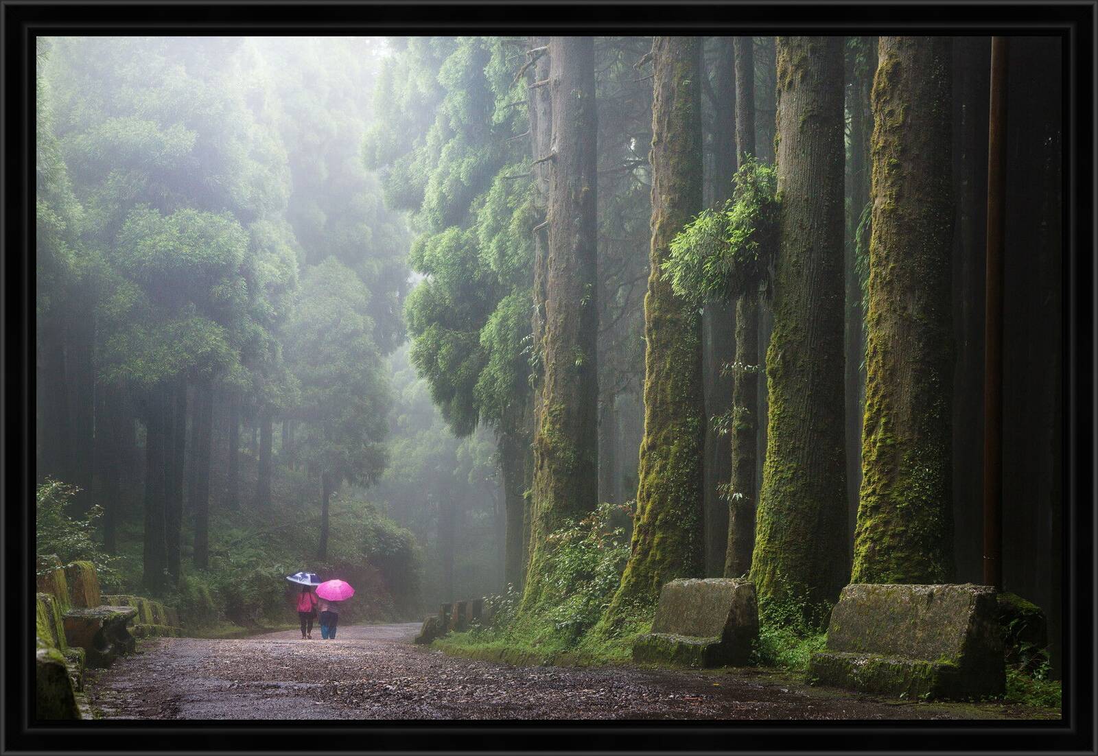 The Giants by Christophe Jacrot - Limited Edition. Edition of: 150. Signed.