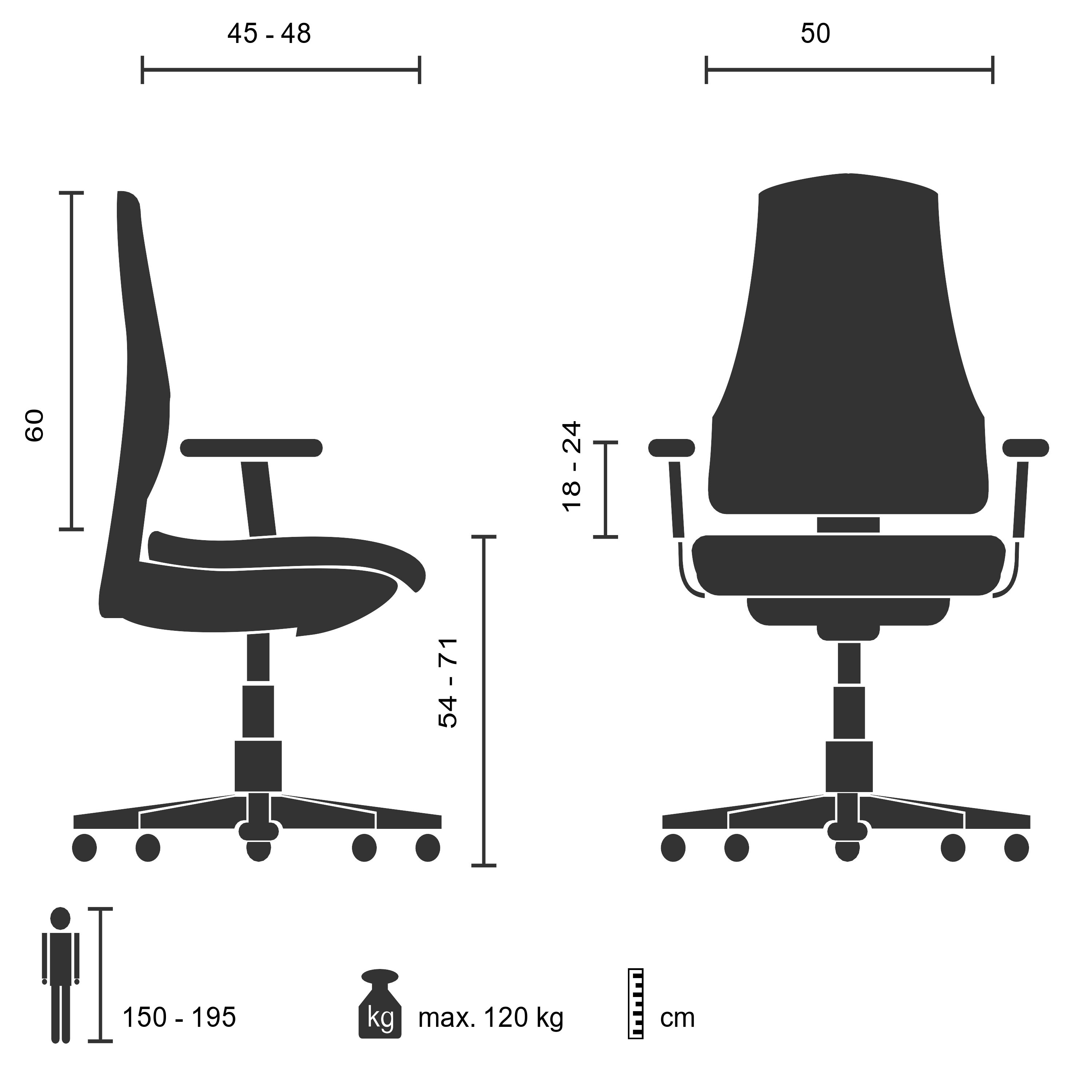 Counterstuhl ERGO LINE II WORK Leder mit Armlehnen (höhenverstellbar) hjh OFFICE