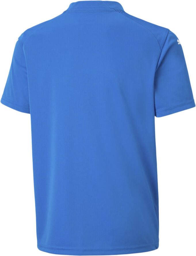 Puma teamGLORY T-shirt Blå