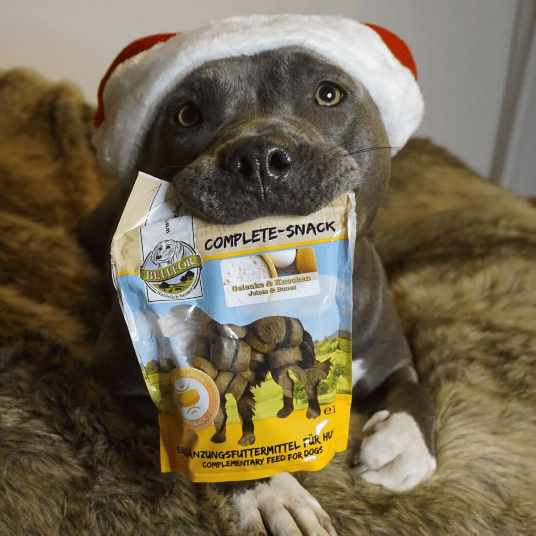 Bellfor Ergänzungsfuttermittel für Hunde - Gelenke und Knochen Complete-Snack