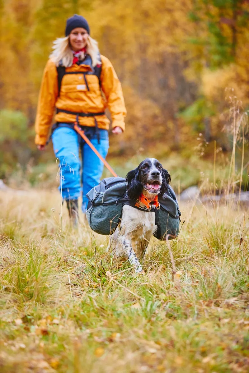 Non-stop Dogwear Amundsen Gray/Black