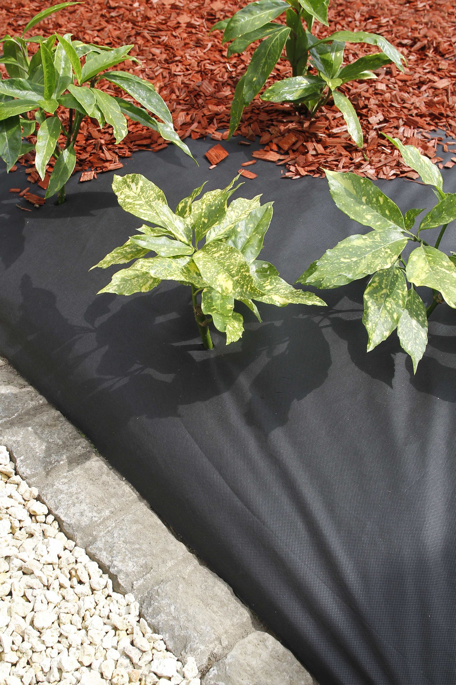 Nature grondbedekkingsvlies 1 x 10m 50 g/m² zwart