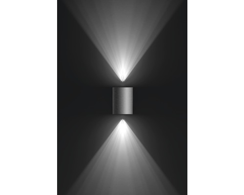 LED buitenwandlamp 4,5W 500 lm 2700K roestvrij staal