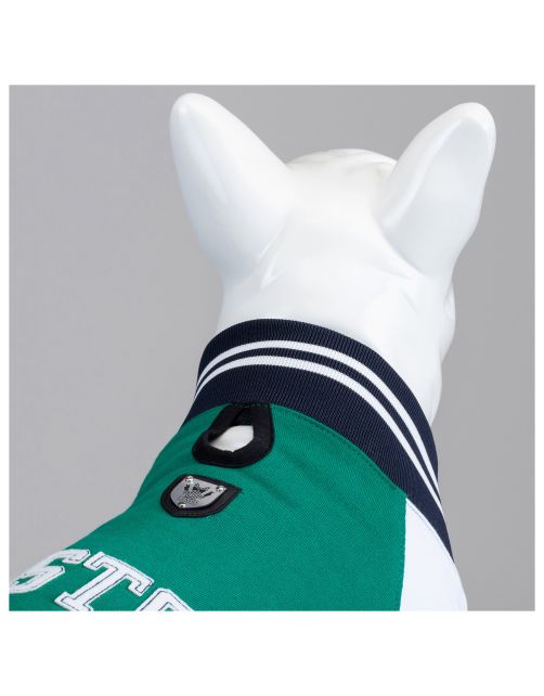 Lindo Hondenjas Boston - Hondenkleding - Groen 1