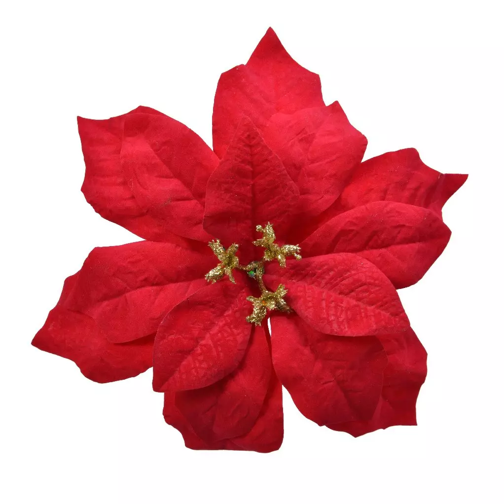 Poinsettia de Noël Noelie sur clip (D16 cm) Rouge