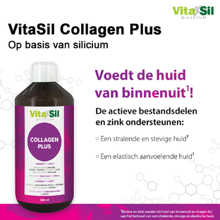 Vitasil Collagen Plus 500ML