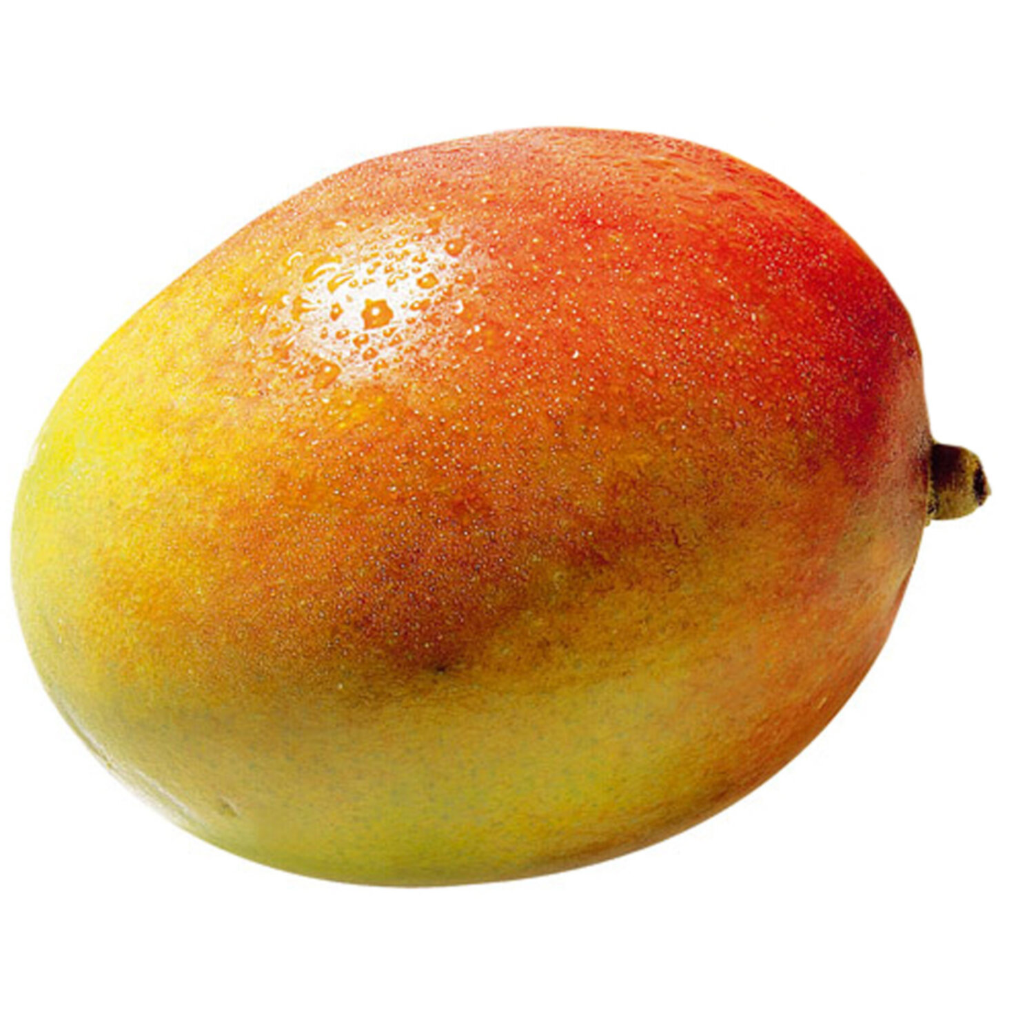 Prix Garantie Mango -
