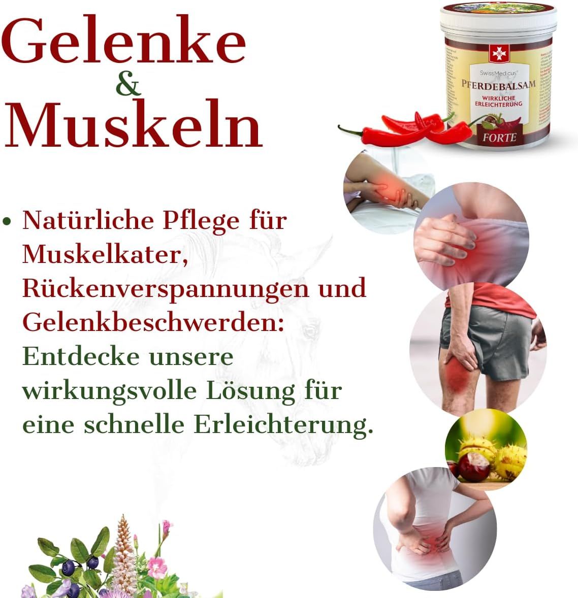 SwissMedicus Pferdebalsam  FORTE