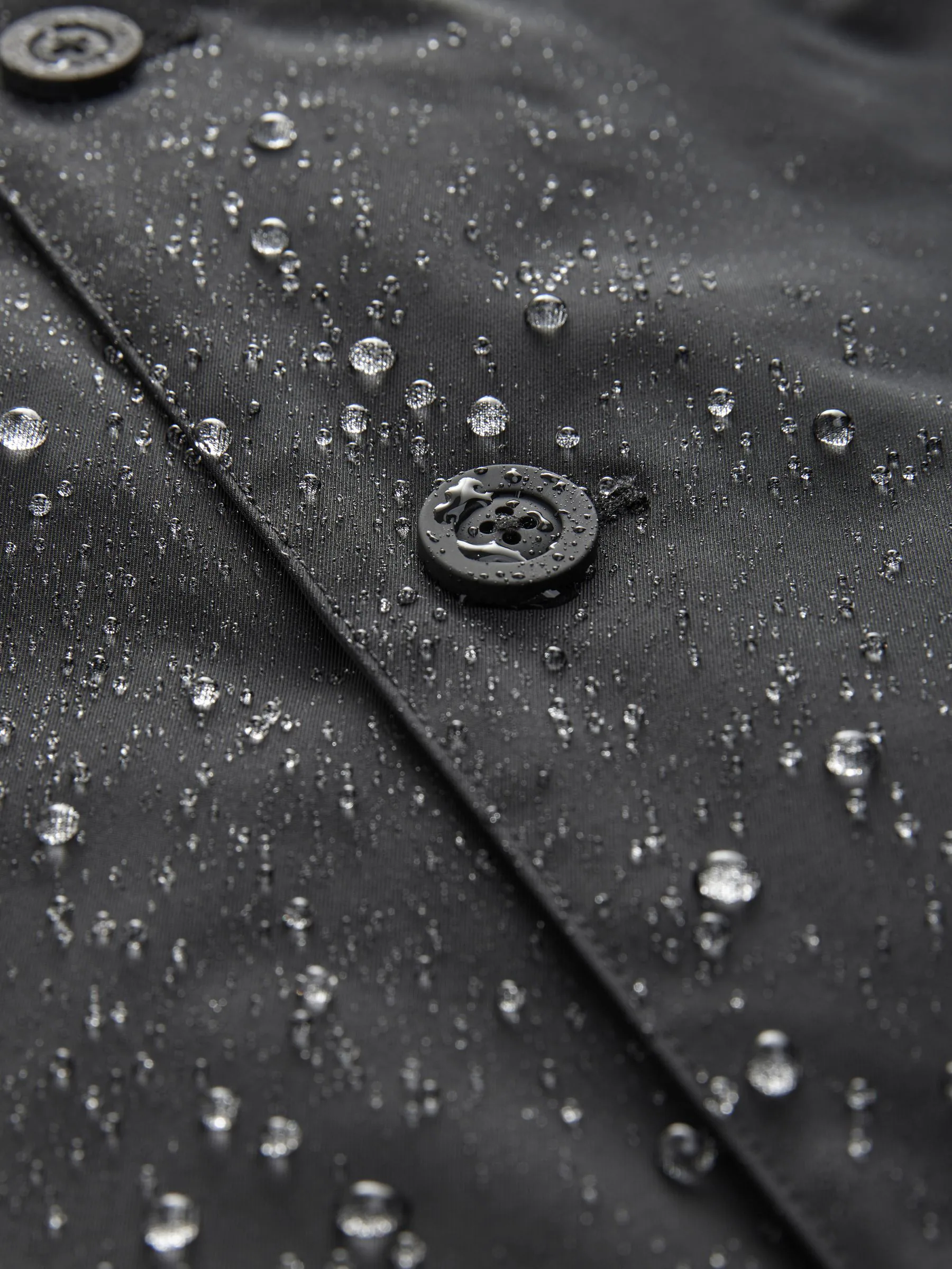 Zwart - Regenbestendige gewatteerde jas met opstaande kraag