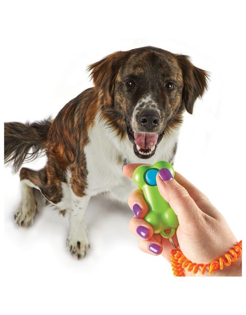 Brightkins Clicker Bone - Hondenopvoeding - Groen Oranje