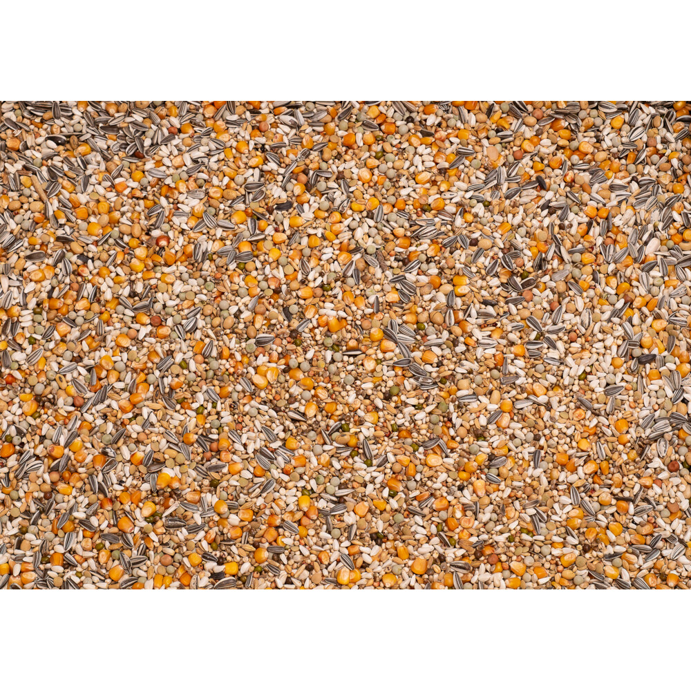 Beyers Premium Prange Grand Prix 25 kg
