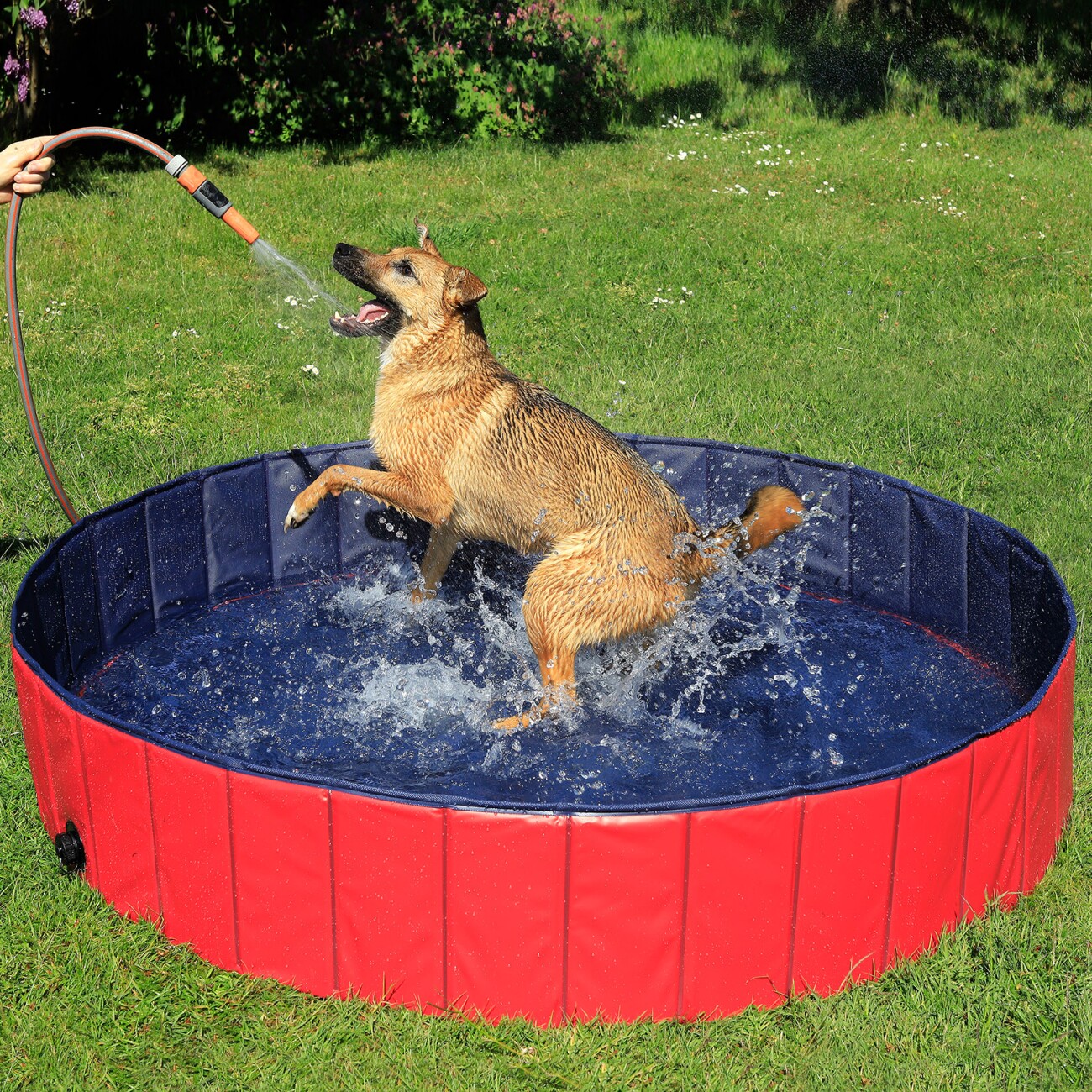 Lionto 80 cm Hundepool mit Ablassventil - faltbar