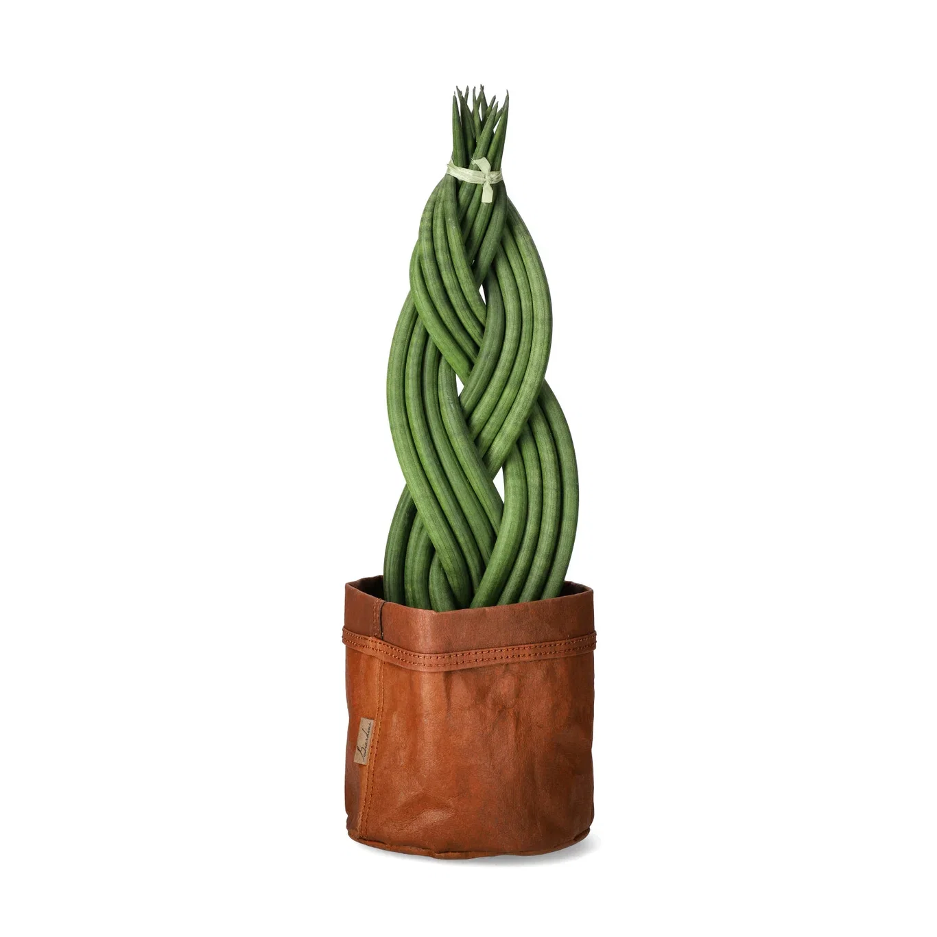 Potte Gael Ø18 cm