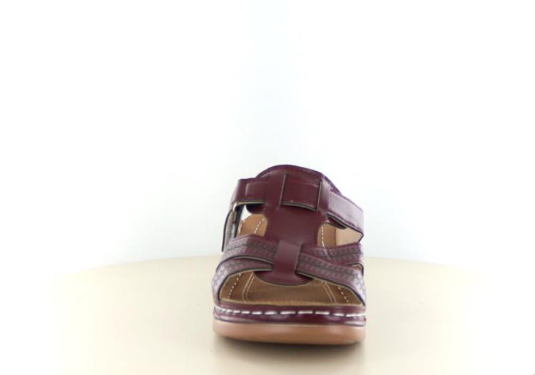 Hafjes Roma Plum