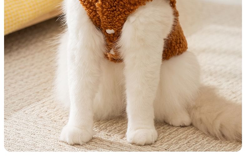 Cissilli - Chenille Pet Top met Berenoren en Capuchon
