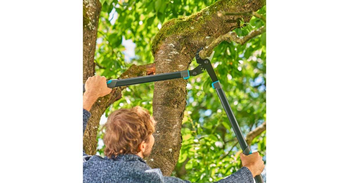 GARDENAAambeeldtakkenschaar EnergyCut Pro L, met aambeeldsnede  (Grijs/turquoise, 75cm, voor droog hout)