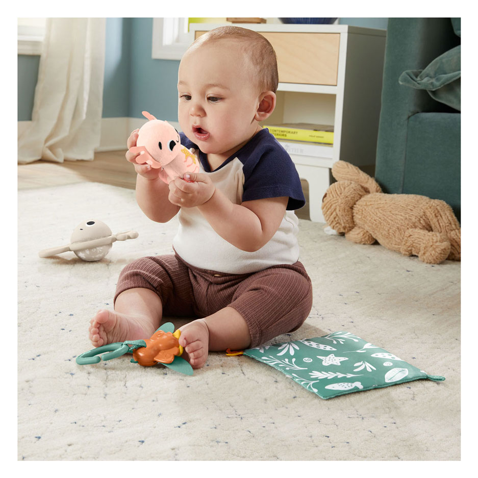 Fisher Price Zoveel Zintuigen Cadeauset