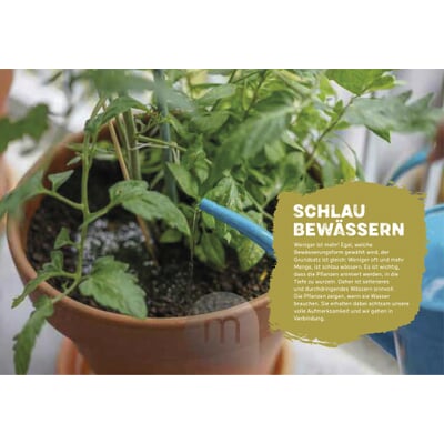 Mein genialer Bio-Balkon