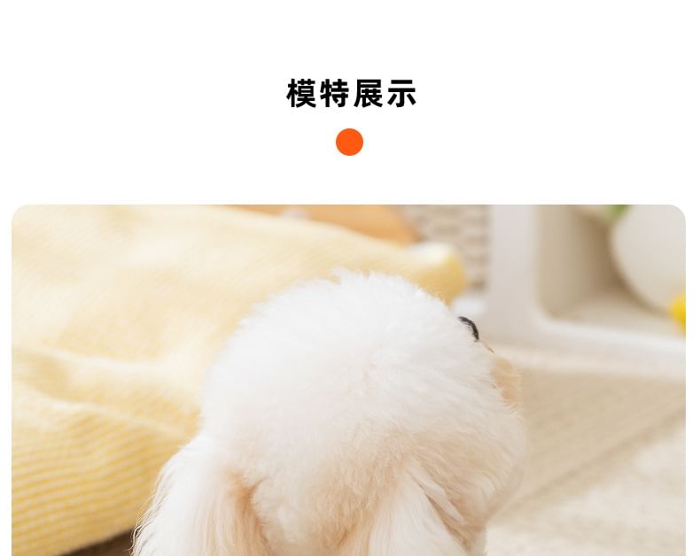 Cissilli - Bear Chenille Pet Top
