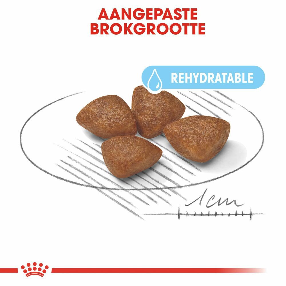 Royal Canin SHN Mini Start Babydog - Hondenvoer - 4 Kilogram - gevogelte