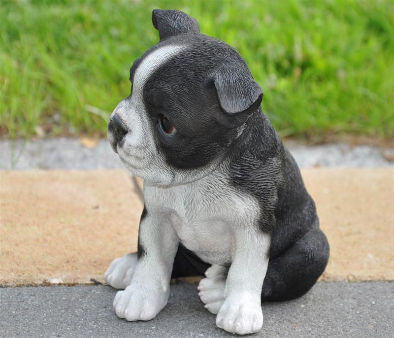 Dazikemo Dekofigur Gartenfigur Boston Terrier