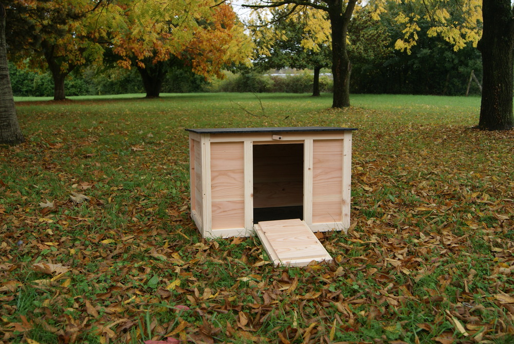 Pondoir émile s douglas 78x42x56 cm pour 2 à 3 poules