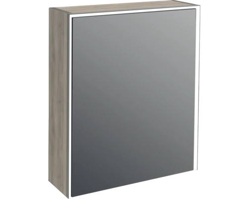 Jungborn QUATTRO SEDICI NOVE spiegelkast, 60 x 20 x 70 cm, walnoot, 1-deur, LED, IP44