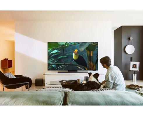Samsung TQ65S95FATXXC