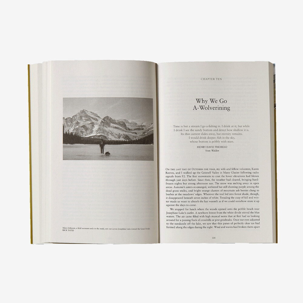Der Wolverine-Weg von Douglas Chadwick (Patagonia-Taschenbuch)